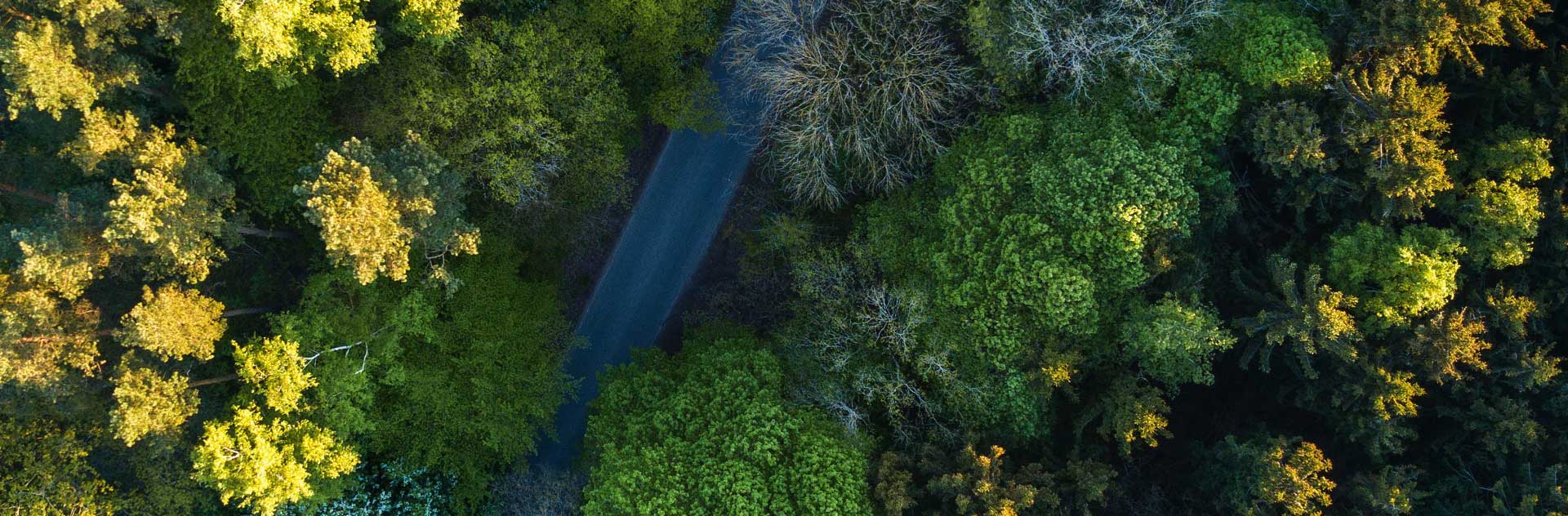 ��ҳ|Z6�����й��ٷ���վ