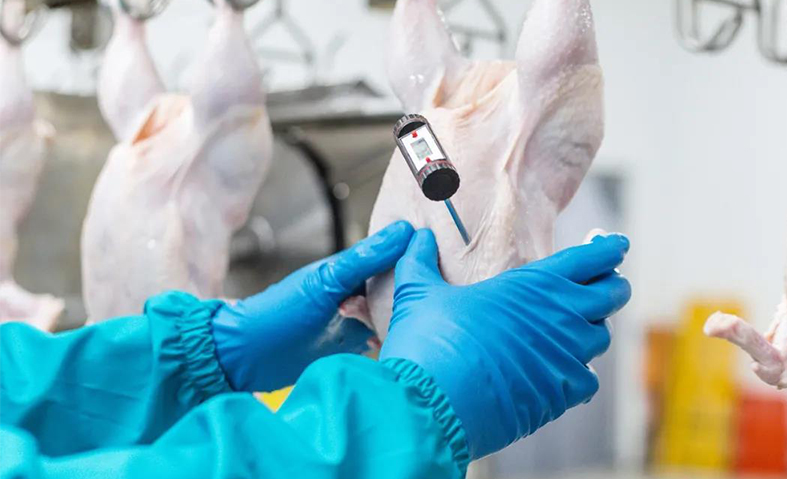 ��ҳ|Z6�����й��ٷ���վ