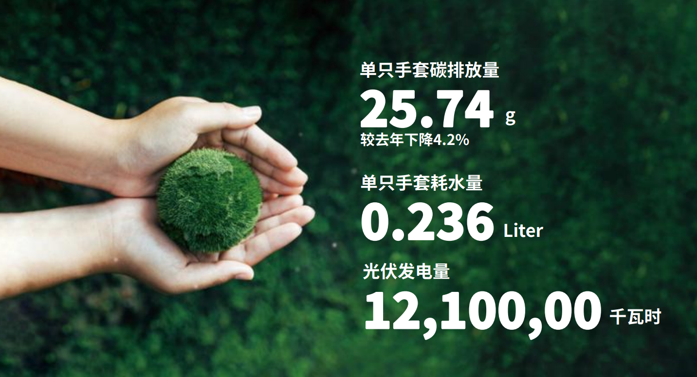 Z6����ҽ��ע����ɫ�������������