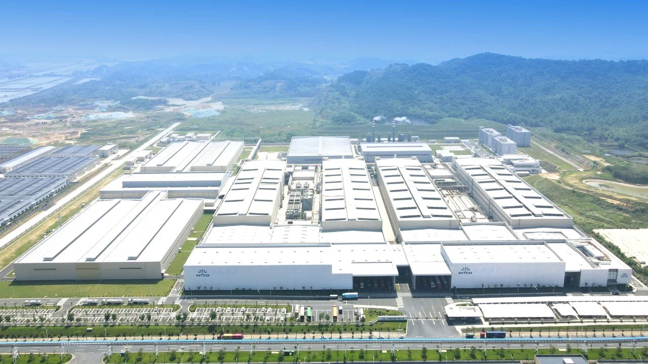 ����Z6��������