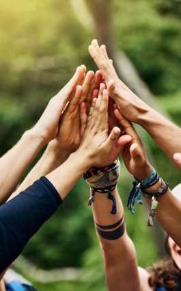 ��ҳ|Z6�����й��ٷ���վ