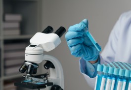 ��ҳ|Z6�����й��ٷ���վ