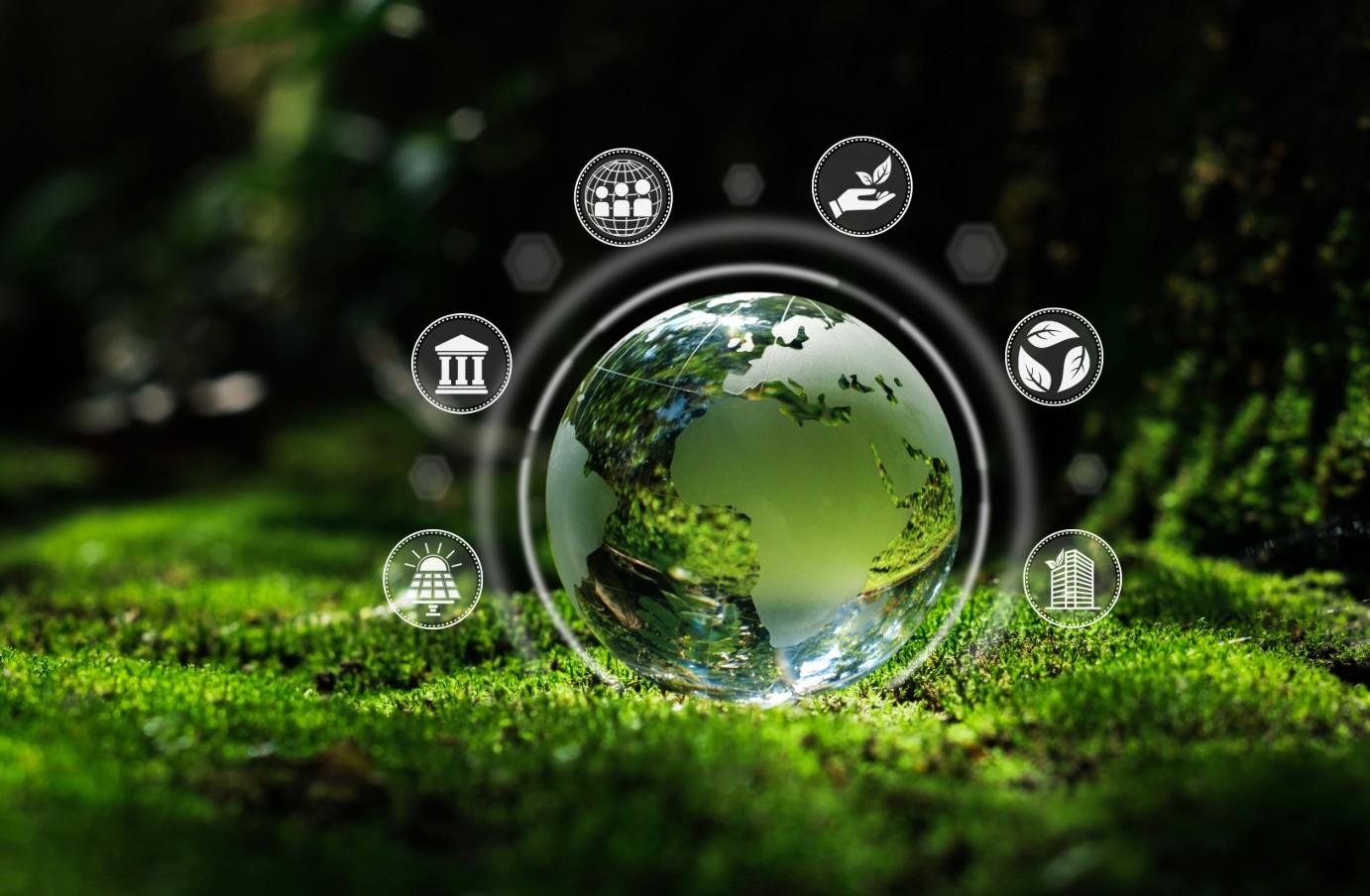 ��ҳ|Z6�����й��ٷ���վ